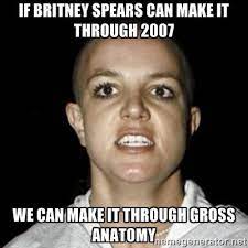 Gross Anatomy Memes Google Search Work Stress Humor Stress Humor Stress Quotes Funny