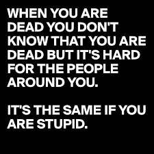 Amazing quotes to bring inspiration, personal growth, love and happiness to your everyday life. Never Argue With Stupid People Seeking Alpha