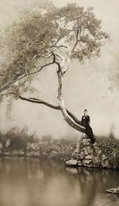 寒树4 1 cold tree 新文人画摄影 photography of new literati painting 纵780mm 横450mm 2012 artistic pictures asian art asian painting
