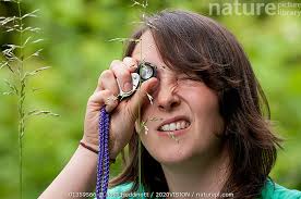 Stock photo of Participant