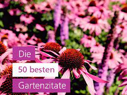 Wer einen garten hat, lebt schon im paradies. Gartenzitate Die Dich Inspirieren Irislandschaften Ch