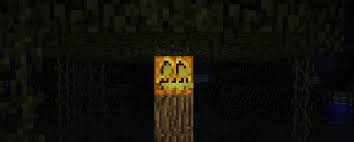 This will allow you to play minecraft snapshot . Minecraft Snapshot Pre Release Snapshot Prerelease Free Download