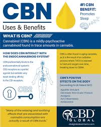 News, business, overseas, entertainment, sports, and lifestyle in text, video, photos, infographics and special reports Everything You Need To Know About Cbn Beauty Ecology