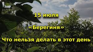 Хочешь узнать какой праздник 15 июля. Narodnyj Prazdnik Bereginya 15 Iyulya Chto Nelzya Delat Youtube