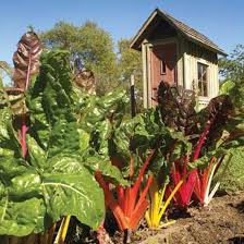 Pin On Farm And Garden