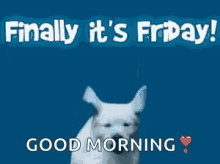 29 good morning friday memes ranked in order of popularity and relevancy. Good Friday Gifs Tenor