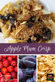 Apple Plum Crisp Plum Crisp Eat Recipes