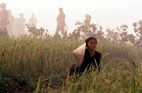 Résultat de recherche d'images pour "hiep thi le FILMS"