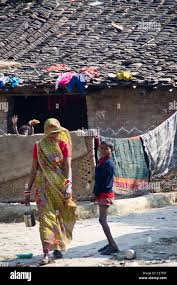 Indian woman in a sari walking on a muddy village road. Tiled hut in  background with a tree Stock Photo - Alamy