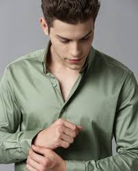 Maybe you would like to learn more about one of these? Satino3 Plain Satin Lycra Men Shirt Light Green