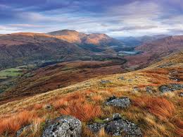 Significant Milestone For New Gold Mine In Scottish Highlands Mining Com