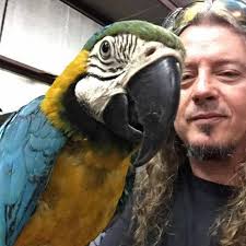 Do we need to book train tickets from Lisbon to Lagos in advance?