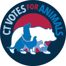 [Image: images?q=tbn:ANd9GcSWR-mjFNOtgG_TUZ1hbO9...n4U9wwHQ&s]