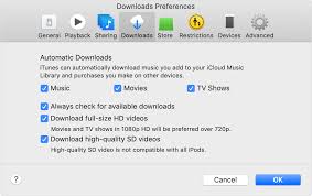 Update Apps Or Use Automatic Downloads Cellular Network Apple Books Icloud