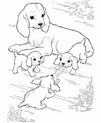 Find the best cute coloring pages for kids & for adults, print 🖨️ and color ️ 247 cute coloring pages ️ for free from our coloring book 📚. Learning Kitten And Puppy Colouring Pages Printables Puppies And Coloring Home