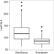 Image result for Phyllonorycter leucographellus