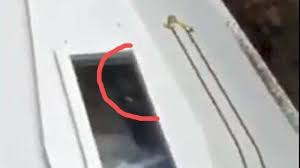 Musk, geçtiğimiz birkaç ay içinde twitter'da bitcoin, dogecoin ve diğer kripto para birimlerinden birçok kez bahsetti. Https Detail Id Whatsapp Image 2020 05 04 At 22 05 36 2 2020 05 04t15 18 53z Https Detail Id Wp Content Uploads 2020 05 Whatsapp Image 2020 05 04 At 22 05 36 1 Jpeg Whatsapp Image 2020 05 04 At 22 05 36 Https Detail Id 2020 05 Tanpa Vaksin