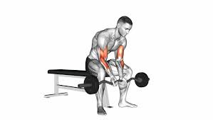 Ez Bar Seated Close Grip Concentration Curl Video Stock 100 Livre De Direitos 1017032416 Shutterstock