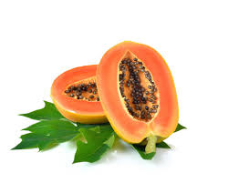 Image result for Carica papaya