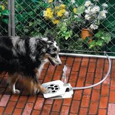 30 Genius Ideas Gallery Dog Fountain Dog Water Fountain Pets