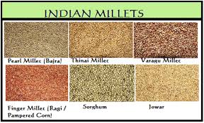 Image Result For Pearl Millet In Urdu Millet Flour Millet Millet Recipes