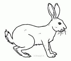 Disegni Da Colorare Animali Della Collina Disegnare Animali Animali Disegni Da Colorare