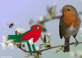 pin by auchan bordeaux lac on heroe mother nature beautiful birds bird wallpaper