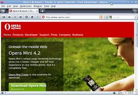 Some of those options are tabbed browsing, secure browsing, shortcuts. Linux Mint Community