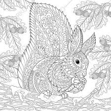 Coloring Pages For Adults Squirrel Adult Coloring Pages Animal Coloring Pages Digital Jpg Pdf Coloring Page Instant Download Print In 2020 With Images Animal Coloring Pages Coloring Pages Coloring Books