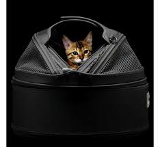 17 x 13 1/2 bed dimensions: Sleepypod Pet Carrier Medium Black Petsonline