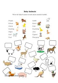 Baby Animals Animal Lessons Animal Worksheets Baby Animal Names