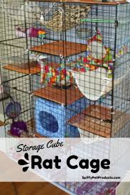 Rat cage accessory roundup #3 | serribrat's pet rat page. Pin On Spiffypetproducts Com Top Posts