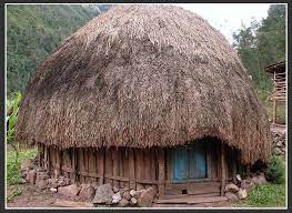Padahal, dalam beberapa kepercayaan suku papua, alam menjadi bagian darinya. Rumah Honai Rumah Adat Papua Sejarah Negara Com