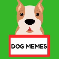Dog Memes Dog Memes Memes Dogs