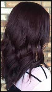chic dark purple hair color ideas fashion simple hairstyles hair color 2019 haarfarben burgunder haar haare rotbraun
