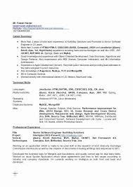 junior web developer