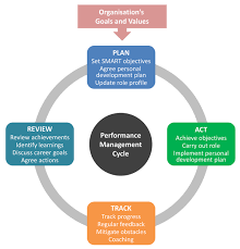 What Is An Effective Performance Management System 2020 Guide
