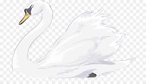 Duck Cartoon Png Download 800 518 Free Transparent Black Swan Png Download Cleanpng Kisspng Millions customers found swan cartoon templates &image for graphic design on pikbest. duck cartoon png download 800 518