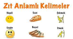 2 Sinif Turkce Zit Anlamli Kelimeler Konu Anlatimi