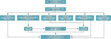 Treatment Of Acute Metabolic Acidosis A Pathophysiologic Approach Nature Reviews Nephrology