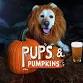 Pups and Pumpkins event image