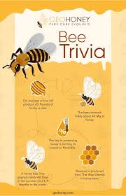 Ask questions and get answers from people sharing their experience with treatment. Bee Trivia Geohoney Honey Bee Facts Honey Bee Bee Facts