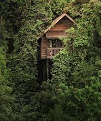 Welcome To Permai Rainforest Resort Resort Rainforest South China Sea