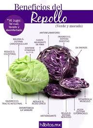 Beneficios Del Repollo Aliment Dietetique Alimentation Alimentation Equilibree