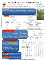 Image result for Eriosema laurentii