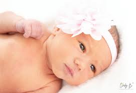 Cindy B Photography NZ