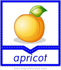 Fruits And Vegetables Flashcards Part 1 Flashcards Name Of Vegetables Fruit