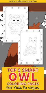 Learn how to find owls and add owls to your life list, including proper equipment and where and when owling can be most successful. Top 5 Smart Owl Coloring Pages For Kids To Enjoy And Have Fun With