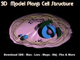 Maybe you would like to learn more about one of these? Plant Cell 3d Model Free And Professional Detailed 3d Mode Flickr