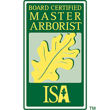 An arborist (or tree surgeon or tree trimmer and pruner as they can sometimes be called) is a practitioner of arboriculture. Tcia Ctsp Waa Isa Certified Wisconsin Tree Preservation Wachtel Tree Science